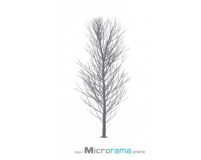 Microrama Birch 10 cm scala HO