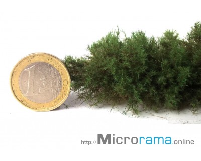 Coniferous green 1 mm. Static grass in Magifloc fiber