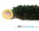 Dunkelgrün 2 mm. Statisches Gras in Magifloc-Faser
