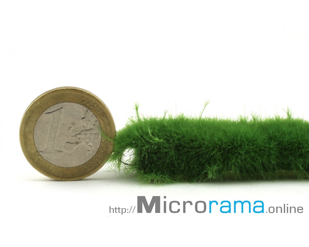 Feder grün 2 mm. Statisches Gras in Magifloc-Faser Feder grün 2 mm. Statisches Gras in Magifloc-Faser