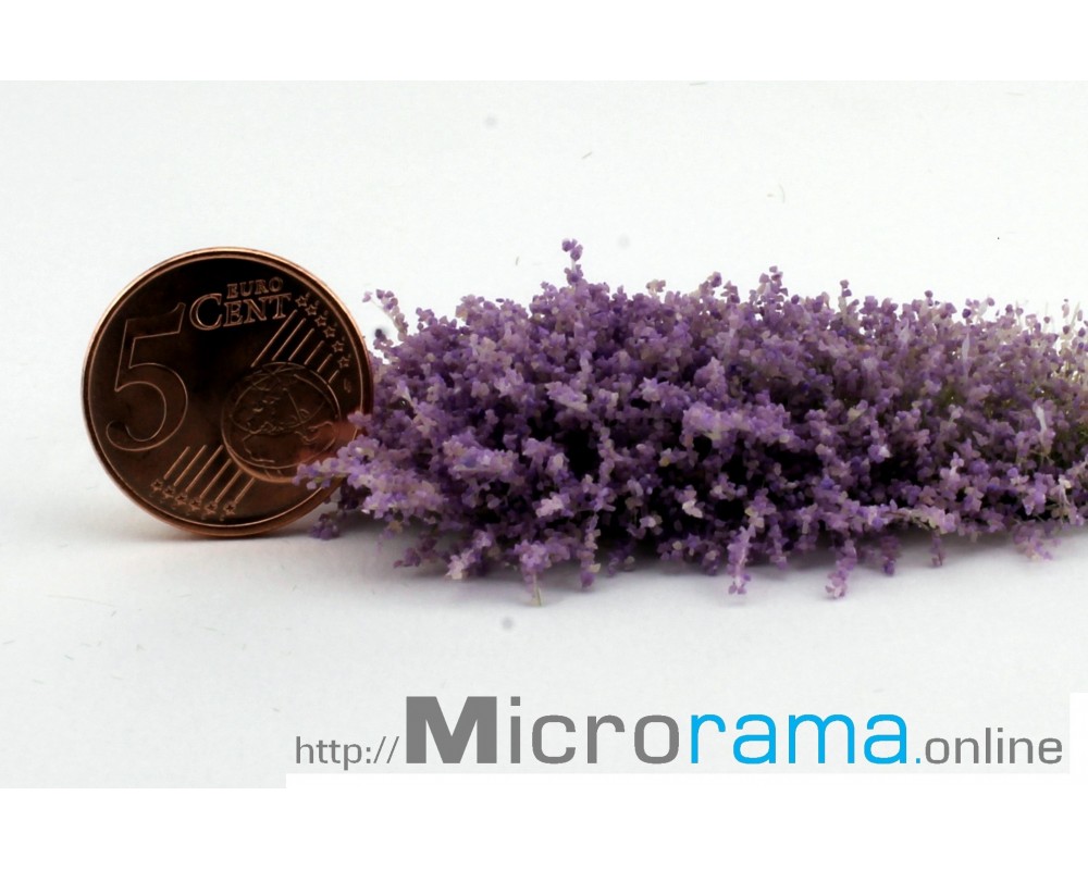 Violett 0,5 mm Beflockung Blütenstand Magiflor