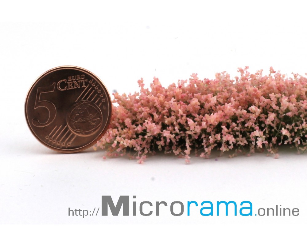 Tyrian Pink 0,5 mm Beflockung Blütenstand Magiflor